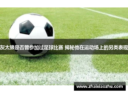 灰太狼是否曾参加过足球比赛 揭秘他在运动场上的另类表现